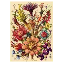 Puzzle 1000 Standard Flowers 5 5902277370044 (1).webp