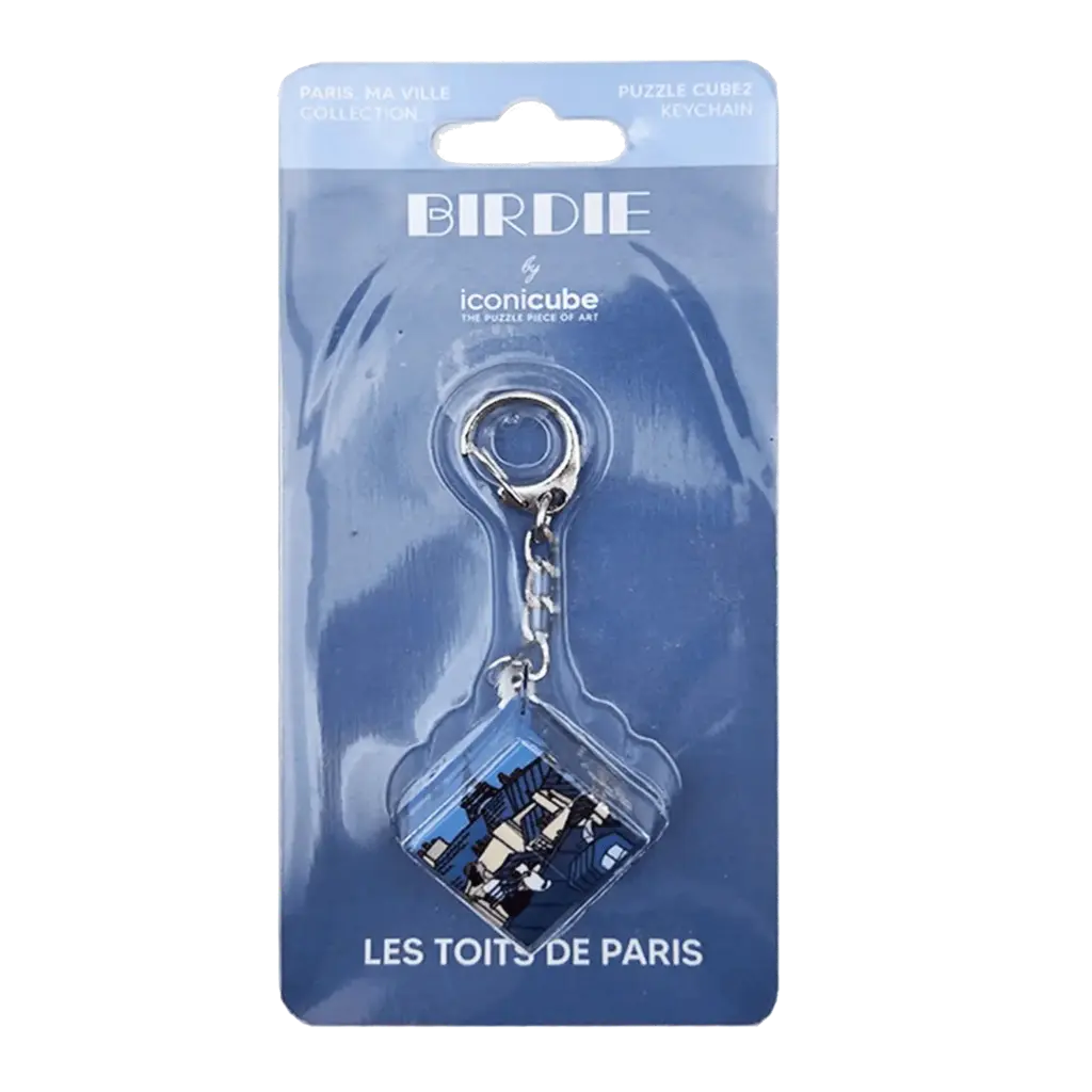 ICONICUBE  - LES TOITS DE PARIS - PC2K (PARIS, MA VILLE / BIRDIE)