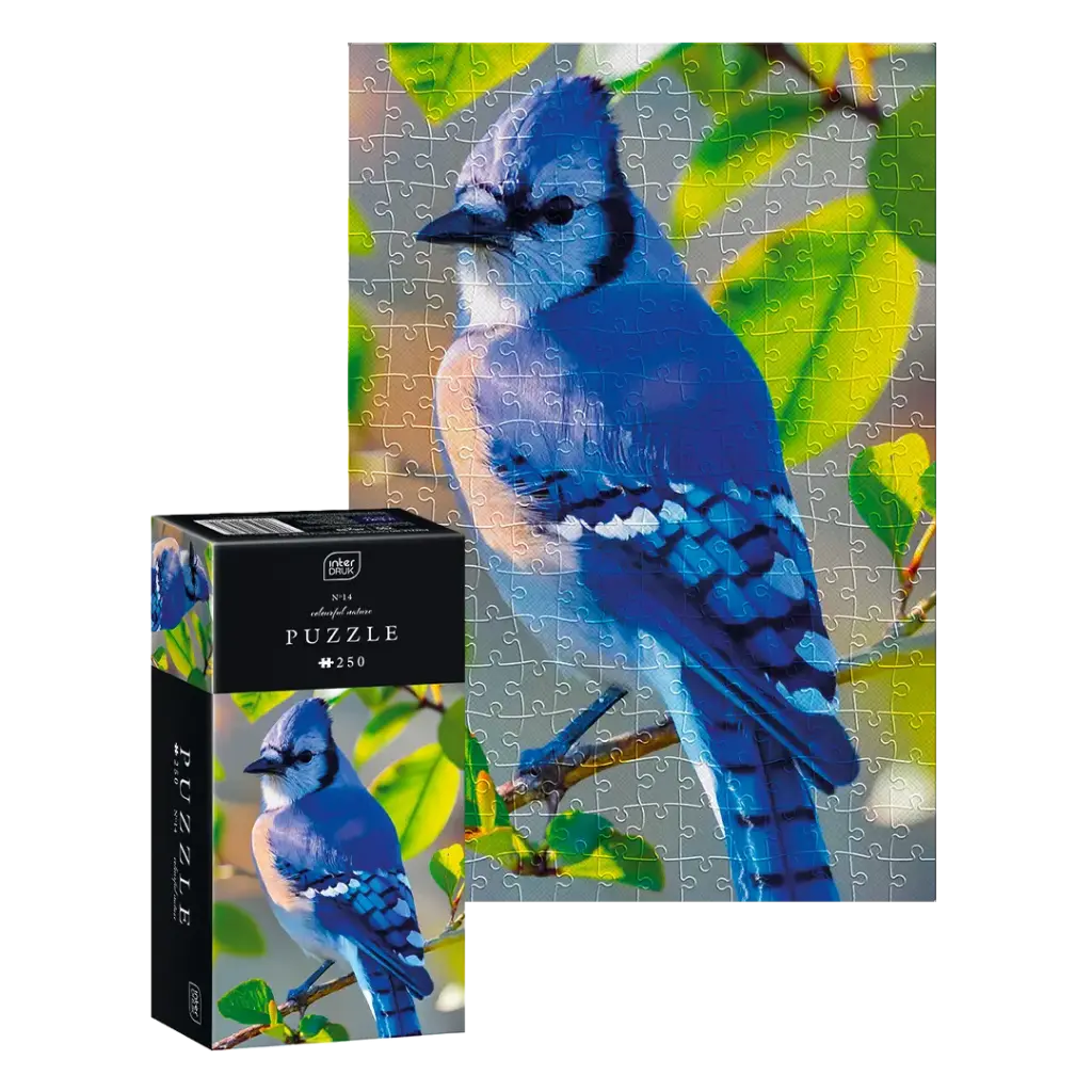 INTERDRUK - PUZZLE 250 - COLOURFUL NATURE 14