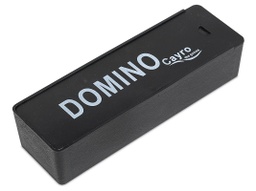 [02376] BASIC DOMINO WITH PLASTIC BOX