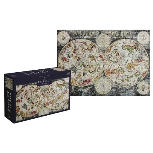 [03848] PUZZLE 1000 - MAP 1