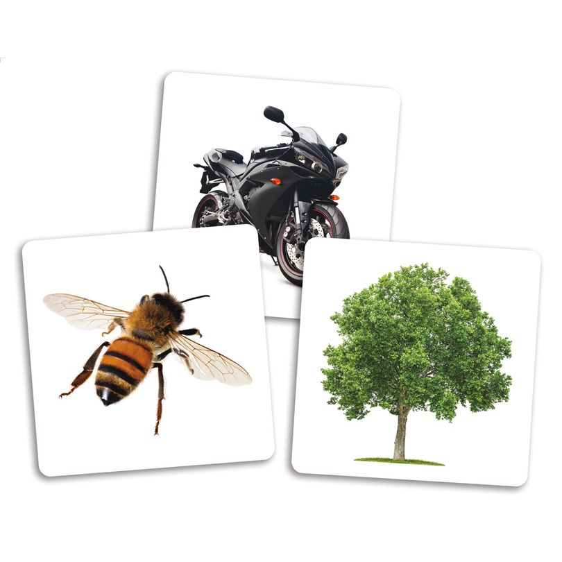 Odoo • Texte et Image