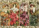 Puzzle 1000 Art 15 Alfons Mucha The Precious Stones 5902277406293 plansza 72ppi.webp