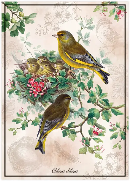 Puzzle 1000 Birds 2 Chloris Chloris 5902277405180 plansza_bez_wykrojnika 72ppi.webp