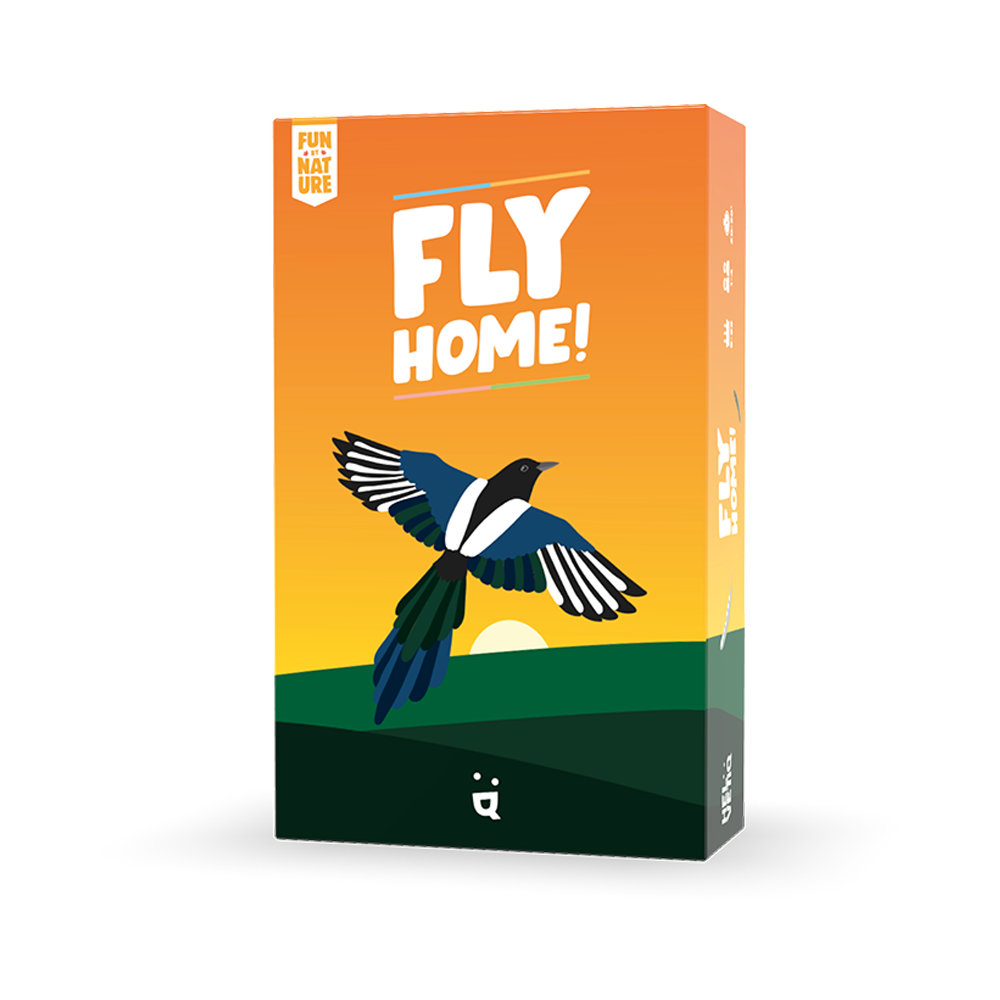 FLY HOME! (DS)