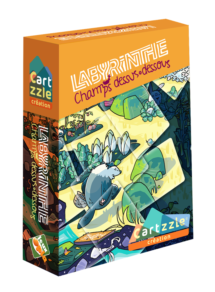 CARTZZLE - Labyrinthe Champ Dessus-Dessous