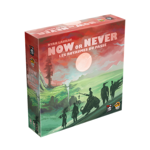 NOW OR NEVER (DS)