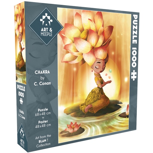 ART&MEEPLE - CHAKRA (DS)