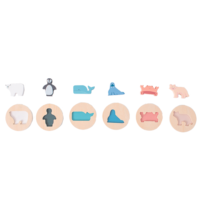 BS - SHAPE PUZZLE (GA501)