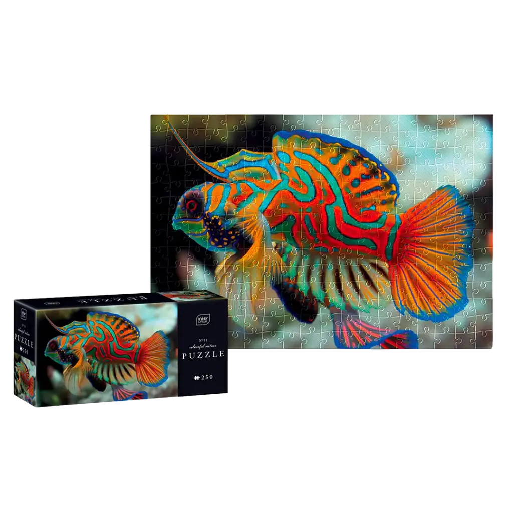 INTERDRUK - PUZZLE 250 - COLOURFUL NATURE 11 MANDARINFISH