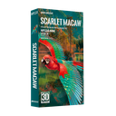 PIECECOOL - SCARLET MACAW
