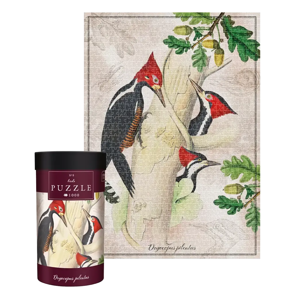 INTERDRUK - PUZZLE 1000 - BIRDS 3