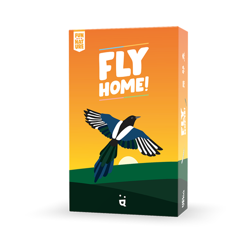 [01808] FLY HOME! (DS)