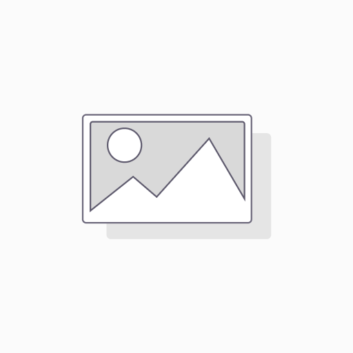 [03481] DING