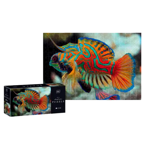 [03868] INTERDRUK - PUZZLE 250 - COLOURFUL NATURE 11 MANDARINFISH