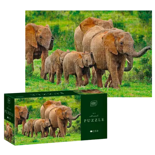 [04152] INTERDRUK - PUZZLE 250 - WILD ANIMALS 2